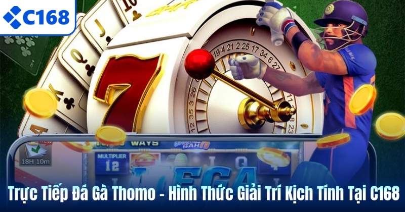 Trực Tiếp Đá Gà Thomo – Hình Thức Giải Trí Kịch Tính Tại C168 3 Trực Tiếp Đá Gà Thomo – Hình Thức Giải Trí Kịch Tính Tại C168